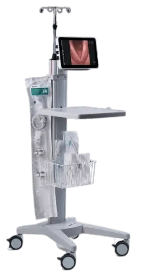 Portable Endoscopic System