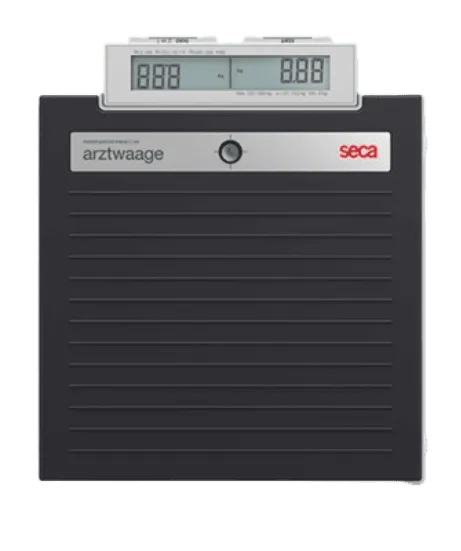 Flat Scale