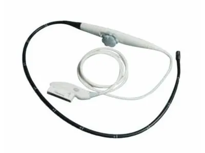 Transesophageal Probes