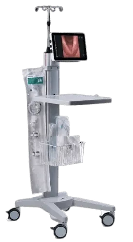 Portable Endoscopic System