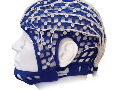 EEG Caps