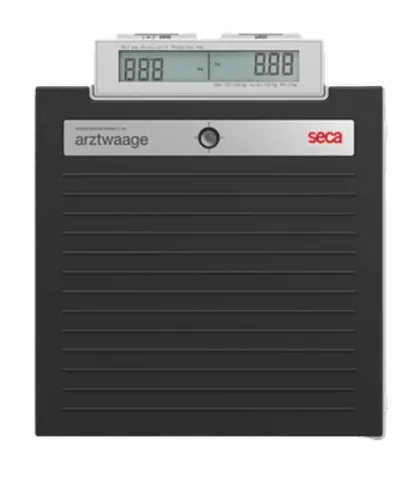 Flat Scale